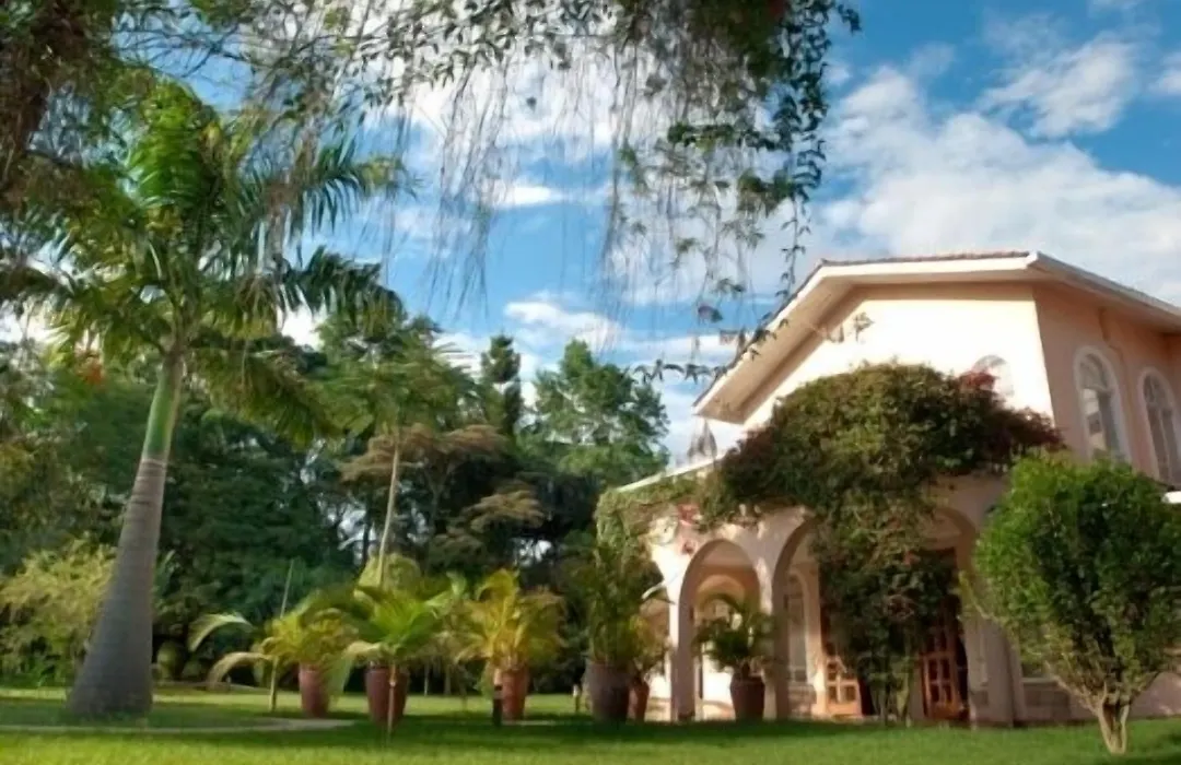 House Of Waine-1